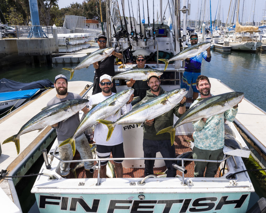 Fin Fetish Yellowtail 5 3 22-2